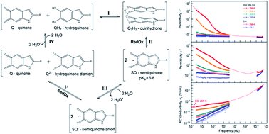 Graphical abstract: Redox chemistry in the pigment eumelanin as a function of temperature using broadband dielectric spectroscopy