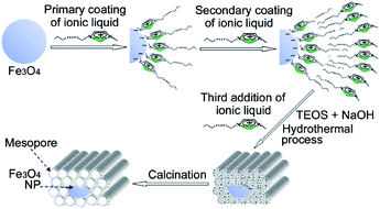 Graphical abstract: Multifunctional amphiphilic ionic liquid pathway to create water-based magnetic fluids and magnetically-driven mesoporous silica