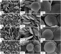 Graphical abstract: Enhancing the photocatalytic activity of Cu0.25Zn0.75S nanodisks by metallic Ag loading in the visible-light region