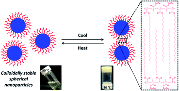 Graphical abstract: Thermoreversible crystallization-driven aggregation of diblock copolymer nanoparticles in mineral oil