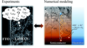 Graphical abstract: Determination and optimization of material parameters of particle-based LaTiO2N photoelectrodes
