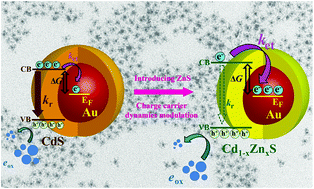 Graphical abstract: Au–Cd1−xZnxS core–alloyed shell nanocrystals: boosting the interfacial charge dynamics by adjusting the shell composition