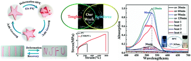 Graphical abstract: Novel double-networked polyurethane composites with multi-stimuli responsive functionalities