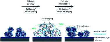 Graphical abstract: Understanding the charge storage mechanism of conductive polymers as hybrid battery-capacitor materials in ionic liquids by in situ atomic force microscopy and electrochemical quartz crystal microbalance studies