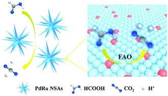 Graphical abstract: Hyperbranched PdRu nanospine assemblies: an efficient electrocatalyst for formic acid oxidation
