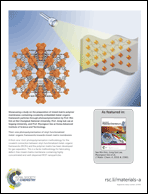 Graphical abstract: Back cover