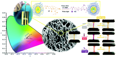 Graphical abstract: Micellar-incorporated hydrogels with highly tough, mechanoresponsive, and self-recovery properties for strain-induced color sensors