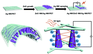 Graphical abstract: Full-solution processed all-nanowire flexible and transparent ultraviolet photodetectors