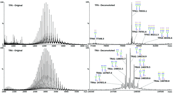 Graphical abstract: N-Glycosylation profiling of intact target proteins by high-resolution mass spectrometry (MS) and glycan analysis using ion mobility-MS/MS