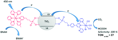 Graphical abstract: Immobilization of Mn(i) and Ru(ii) polypyridyl complexes on TiO2 nanoparticles for selective photoreduction of CO2 to formic acid