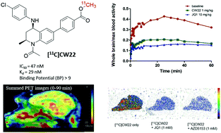 Graphical abstract: Positron emission tomography probes targeting bromodomain and extra-terminal (BET) domains to enable in vivo neuroepigenetic imaging