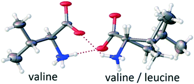 Graphical abstract: Heteromolecular compounds in binary systems of amino acids with opposite and same chiralities