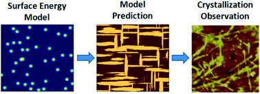 Graphical abstract: The role of surface energy heterogeneity on crystal morphology during solid-state crystallization at the amorphous atazanavir–water interface