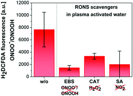 Graphical abstract: Fluorescence measurements of peroxynitrite/peroxynitrous acid in cold air plasma treated aqueous solutions