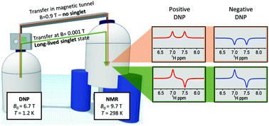 Graphical abstract: Transport of hyperpolarized samples in dissolution-DNP experiments