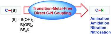Graphical abstract: How to make C–N bonds using boronic acids and their derivatives without transition metals