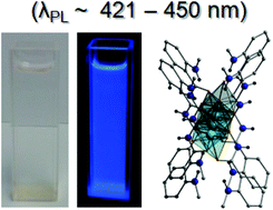 Graphical abstract: Mono- and ditopic hydroxamate ligands towards discrete and extended network architectures