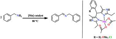 Graphical abstract: Synthesis, structure and catalytic activity of manganese(ii) complexes derived from bis(imidazole)methane-based ligands
