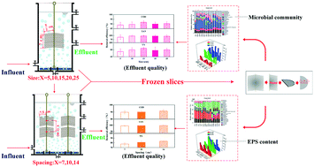 Graphical abstract: Effects of size and spacing of basalt fiber carrier media on performance, extracellular polymeric substances and microbial community of hybrid biological reactors