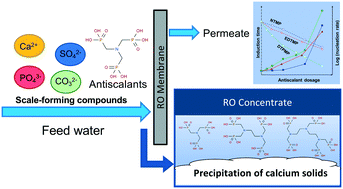 Graphical abstract: Impacts of antiscalants on the formation of calcium solids: implication on scaling potential of desalination concentrate