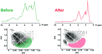 Graphical abstract: Molecular level characterisation of ion-exchange water treatment coupled to ceramic membrane filtration