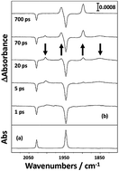 Graphical abstract: The effect of coordination of alkanes, Xe and CO2 (η1-OCO) on changes in spin state and reactivity in organometallic chemistry: a combined experimental and theoretical study of the photochemistry of CpMn(CO)3