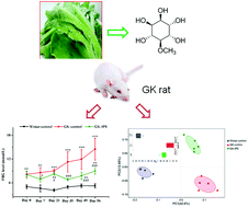 Graphical abstract: Extract of ice plant (Mesembryanthemum crystallinum) ameliorates hyperglycemia and modulates the gut microbiota composition in type 2 diabetic Goto-Kakizaki rats