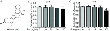 Graphical abstract: Peiminine inhibits the IL-1β induced inflammatory response in mouse articular chondrocytes and ameliorates murine osteoarthritis