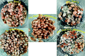 Graphical abstract: Analysis of the antimicrobial activity of Lactobacillus plantarum YM-4-3: implications of suitable conditions for extending the shelf life of fermented soybean products
