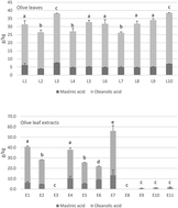 Graphical abstract: Characterization of bioactive compounds in commercial olive leaf extracts, and olive leaves and their infusions