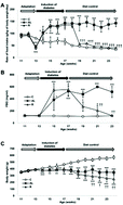 Graphical abstract: Diet control to achieve euglycaemia induces tau hyperphosphorylation via AMPK activation in the hippocampus of diabetic rats