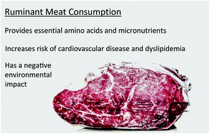 Graphical abstract: The impact of reduced red and processed meat consumption on cardiovascular risk factors; an intervention trial in healthy volunteers
