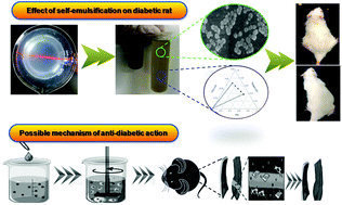 Graphical abstract: A self-emulsifying formulation of Sonchus oleraceus Linn for an improved anti-diabetic effect in vivo