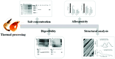 Graphical abstract: Effects of thermal processing on digestion stability and immunoreactivity of the Litopenaeus vannamei matrix