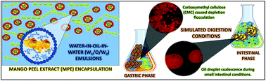 Graphical abstract: In vitro digestibility and release of a mango peel extract encapsulated within water-in-oil-in-water (W1/O/W2) emulsions containing sodium carboxymethyl cellulose