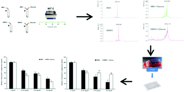 Graphical abstract: Glycation affects differently the main soybean Bowman–Birk isoinhibitors, IBB1 and IBBD2, altering their antiproliferative properties against HT29 colon cancer cells