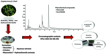 Graphical abstract: HPLC-DAD-ESI-MS/MS screening of phytochemical compounds and the bioactive properties of different plant parts of Zizyphus lotus (L.) Desf.