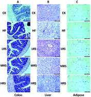 Graphical abstract: Attenuation of metabolic syndrome in the ob/ob mouse model by resistant starch intervention is dose dependent