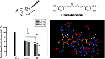 Graphical abstract: Acetylcholinesterase inhibitory activity and neuroprotection in vitro, molecular docking, and improved learning and memory functions of demethylcurcumin in scopolamine-induced amnesia ICR mice