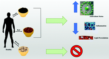 Graphical abstract: The anti-inflammatory and antioxidant effects of acute consumption of pigmented rice in humans