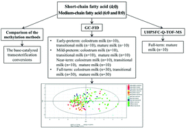Graphical abstract: Short-chain fatty acid (SCFA) and medium-chain fatty acid (MCFA) concentrations in human milk consumed by infants born at different gestational ages and the variations in concentration during lactation stages