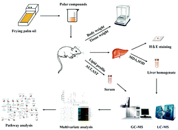 Graphical abstract: Metabolomics reveals the toxicological effects of polar compounds from frying palm oil