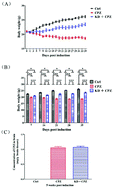 Graphical abstract: Amelioration of clinical course and demyelination in the cuprizone mouse model in relation to ketogenic diet