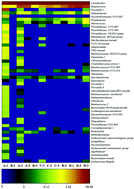 Graphical abstract: High-altitude Tibetan fermented milk ameliorated cognitive dysfunction by modified gut microbiota in Alzheimer's disease transgenic mice