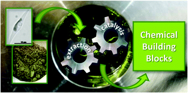 Graphical abstract: Integrated extraction and catalytic upgrading of microalgae lipids in supercritical carbon dioxide