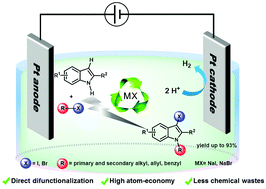 Graphical abstract: Direct electrosynthesis for N-alkyl-C3-halo-indoles using alkyl halide as both alkylating and halogenating building blocks
