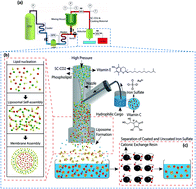 Graphical abstract: Generation of ironized and multivitamin-loaded liposomes using venturi-based rapid expansion of a supercritical solution (Vent-RESS)