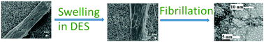 Graphical abstract: High-strength cellulose nanofibers produced via swelling pretreatment based on a choline chloride–imidazole deep eutectic solvent