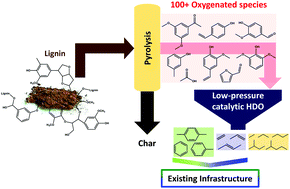 Graphical abstract: Evaluating lignin valorization via pyrolysis and vapor-phase hydrodeoxygenation for production of aromatics and alkenes