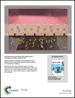 Graphical abstract: Inside back cover